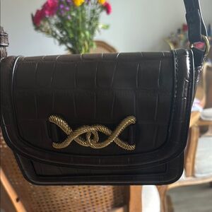 Zara Brown Croc-Embossed Bag with Gold Accent